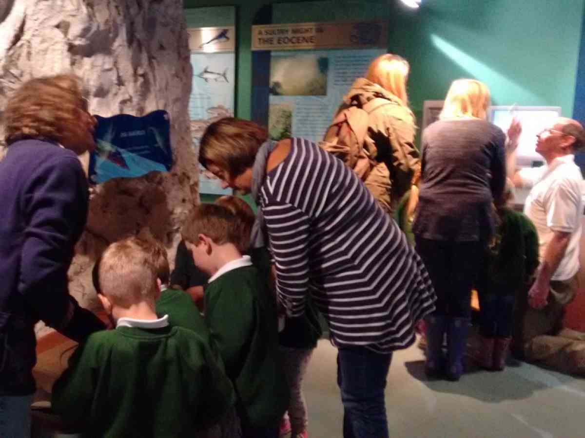 Dinosaur Isle picture gallery